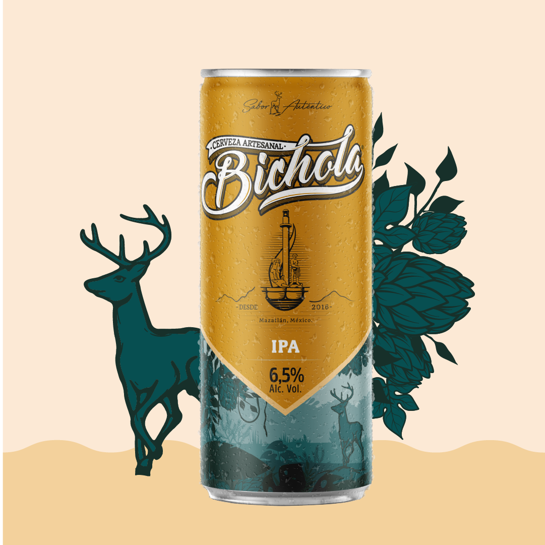 24 Pack Surtido