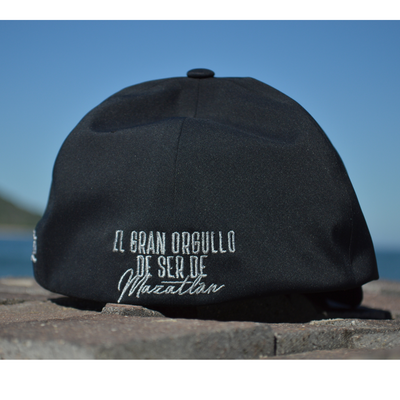 Gorra BICHOLA flexfit delta negra